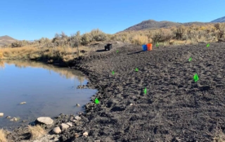 featured Bank Close up during restoration work - Round Valley Pond Restoration