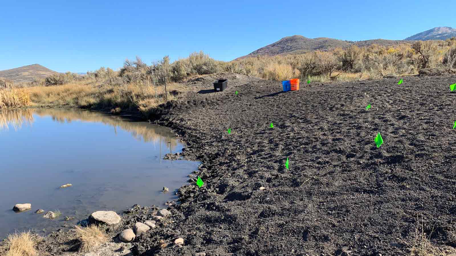 featured Bank Close up during restoration work - Round Valley Pond Restoration