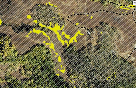 GIS-and-Mapping-ecology-bridge