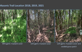 Revegetation Trials progress