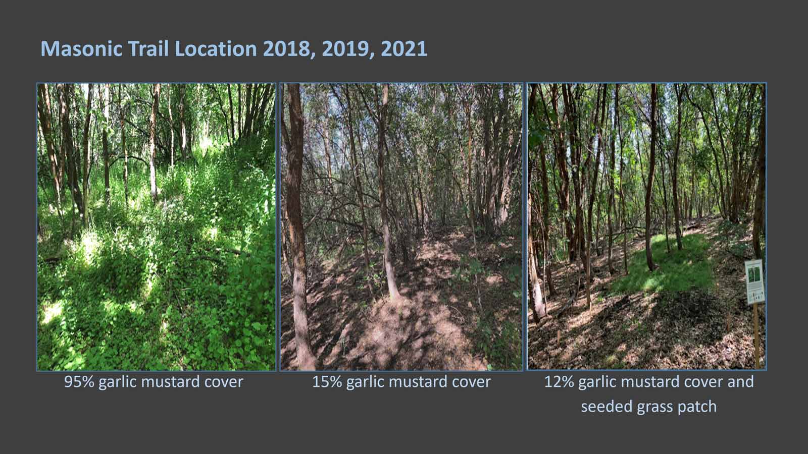 Revegetation Trials progress